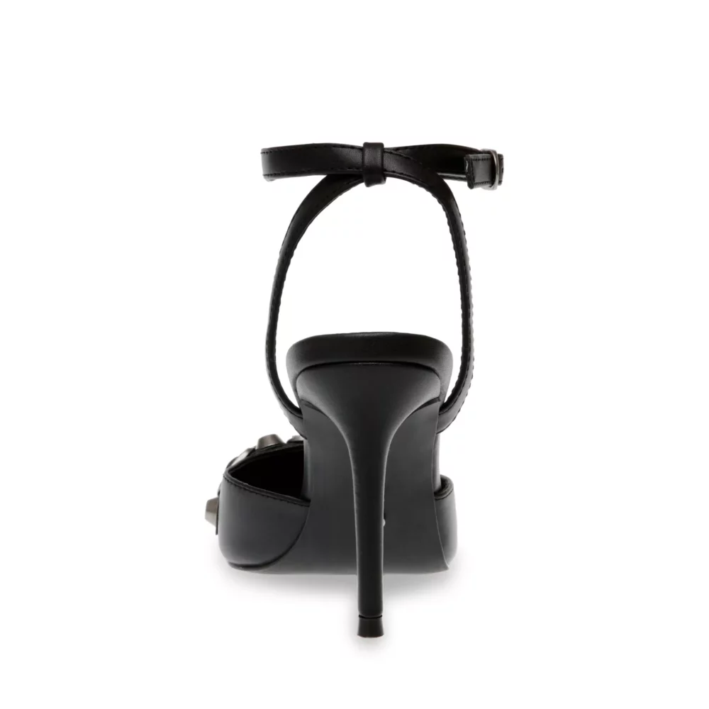 Retriever nero - immagine 3